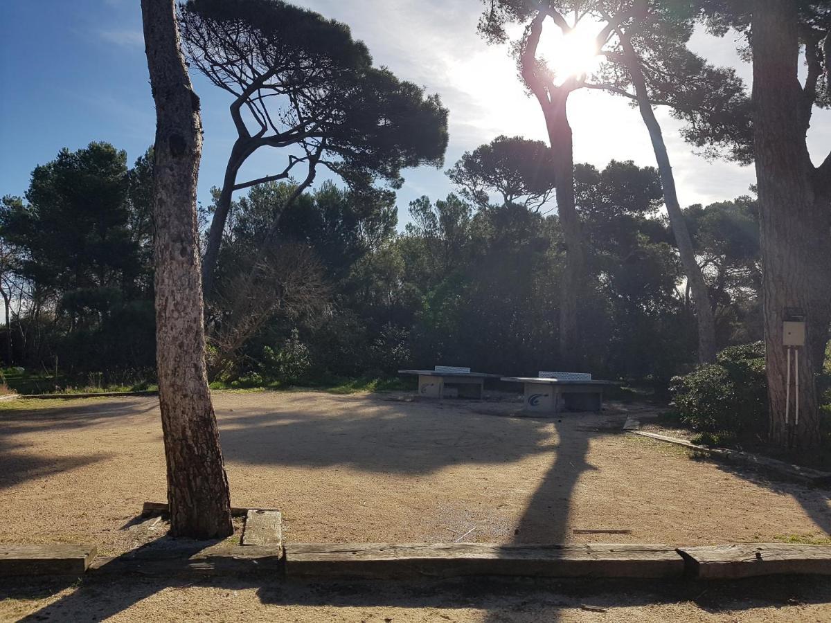 Le Studio De Giens Hyères Екстериор снимка
