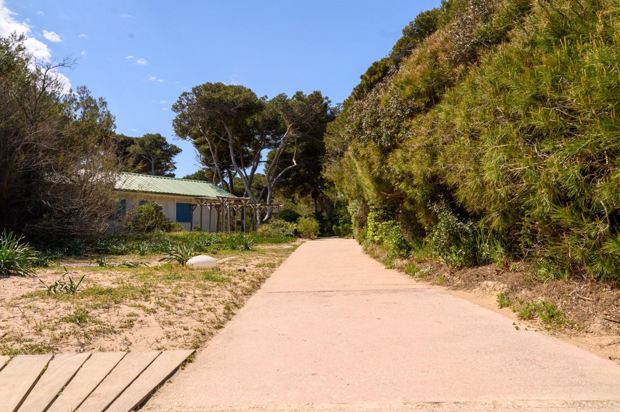 Le Studio De Giens Hyères Екстериор снимка