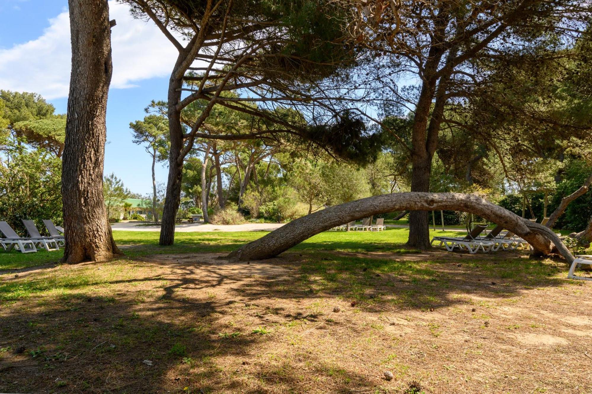 Le Studio De Giens Hyères Екстериор снимка